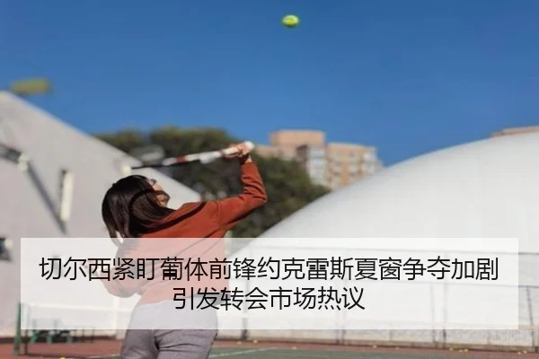 img_1782374184220_1010_1_944.jpg